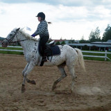 forwskatharina4
