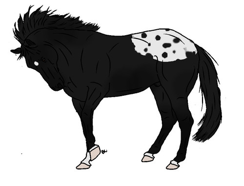 mooncalf.jpg