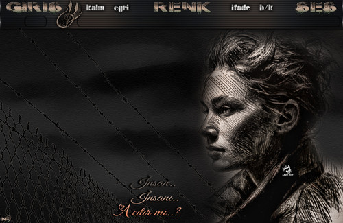 Lady Nur Acıtır mı.jpg