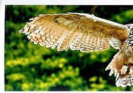 PENNY Naše země 136.jpg