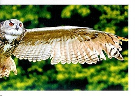 PENNY Naše země 137.jpg