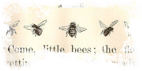 Untitled1015 20240623110244.png