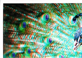 PENNY Naše země 153.jpg