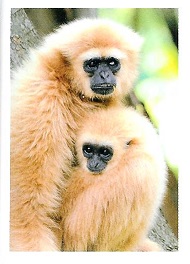 PENNY Naše země 160.jpg