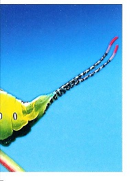 PENNY Naše země 141.jpg