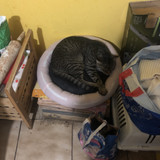 IMG 3921