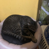 IMG 3924