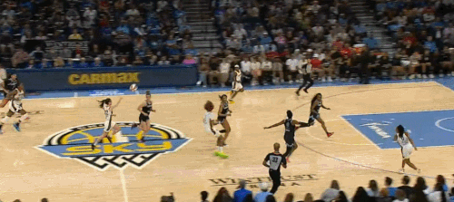 GIF 6 23 2024 4 27 36 PM.gif