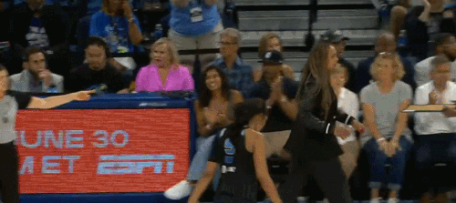 GIF 6 23 2024 4 59 56 PM.gif