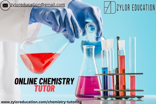 www.zyloreducation.com.jpg