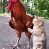 ezgif 5 01f01cdb68.gif