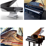 Explore Yamaha Grand Pianos for Musical Melody in Australia.png