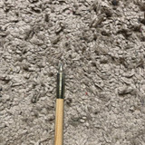 IMG 1550