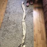 IMG 1535