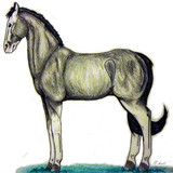 blackchrystalds