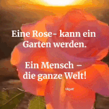 1000036353.gif