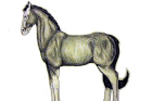 blackchrystalds p.jpg