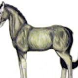 blackchrystalds p