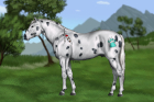 chromiumcheetah p.jpg