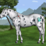 chromiumcheetah p