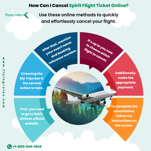 How Can I Cancel Spirit Flight Ticket Online.jpg
