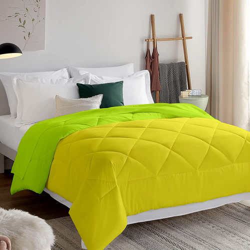 Yellow Parrot (2).jpg