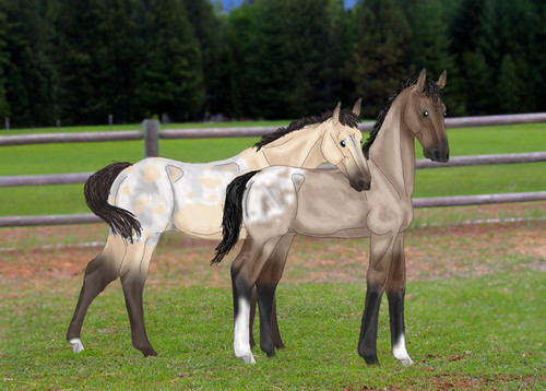 fallursa+freakyautumn.jpg