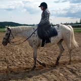 forwskatharina