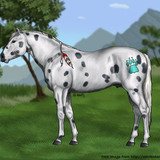 chromiumcheetah
