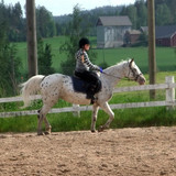 forwskatharina3