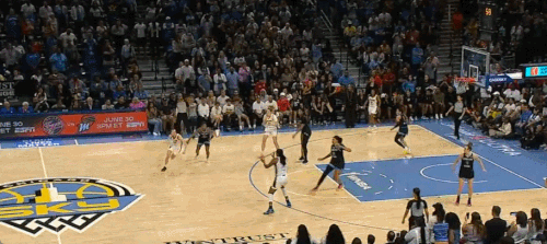 GIF 6 23 2024 5 18 30 PM.gif