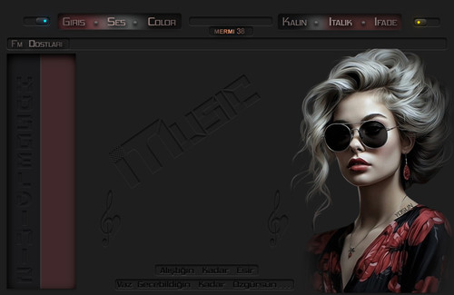 ALISTIGIN KADAR.MERMI 38.jpg