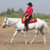 draconius p