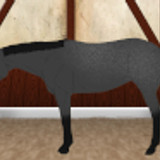 mintheart p