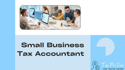 small business tax accountant.jpg