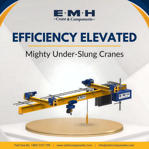 EMH Efficiency Elevated.jpg