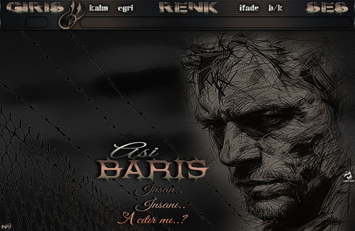 Lady Nur Dj Asi Barış Acıtır mı.jpg