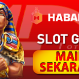 Icon Slot (5)