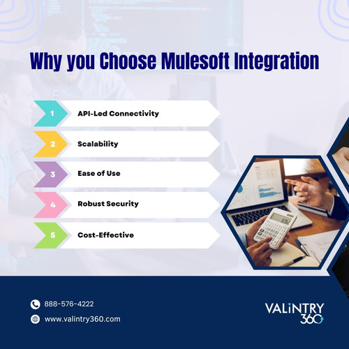 Why you Choose Mulesoft Integration.jpg