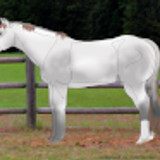 windholm p