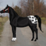 ontarioexpress p