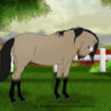 pollycracker p