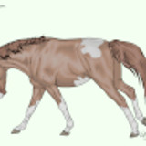 serpensortia p