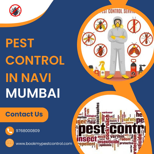 Keeping Navi Mumbai Pest Free A Look at Local Pest Control Services.jpg