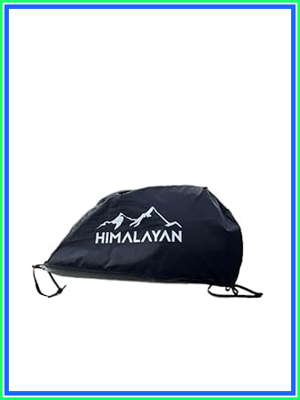 41ZG0ABriIL. SY450.jpg