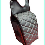81D23pQuInL. SY450