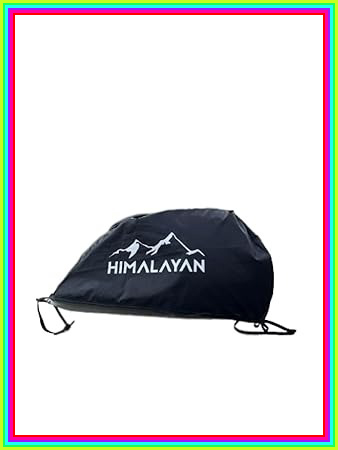 41ZG0ABriIL. SY450.jpg