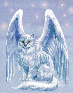 (171)mythische wezens kat.jpg