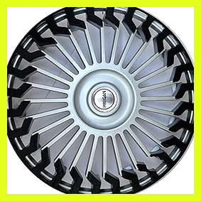 813ZfEg8b8L. AC CR0,0,0,0 SX301 SY283 .jpg