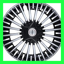 61IaSBVT8dL. AC CR0,0,0,0 SX206 SY216 .jpg